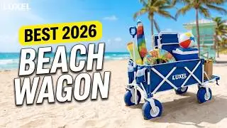 Stop Carrying, Start Rolling &ndash; The Best Beach Wagon of 2025!
