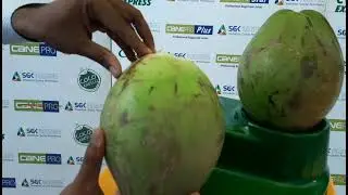 Coconut cart || Coco Express Eco || SGK Chilled Coconut Vending cart || High Profit Business idea.
