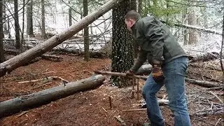 Giant Deer Deadfall