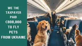 Irish taxpayers paid &euro;808,000 to bring Ukrainian pets to Ireland.