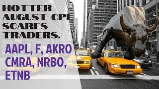 AAPL, F, AKRO, CMRA, NRBO, ETNB. Steep Losses On the Heels Of Disappointing August Inflation Data.