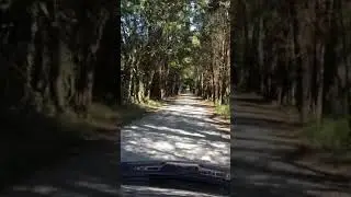 A Drive Cowan&rsquo;s Ford Wildlife Refuge