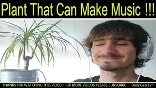 Have You Ever Listen Plant Music | Music Plant | Amazing Music Plant | Daily geo tv