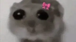 ability damage test