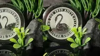 🔥🔥Perth Mint Silver Swans 🔥🔥 #silverstacking  #perthmint   #silver
