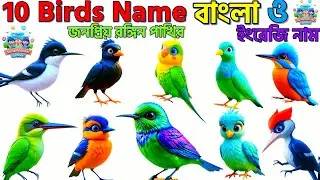 ১০টি সুন্দর রঙিন পাখির বাংলা ও ইংরেজি নাম | Birds Name in Bengali & English | Kids Learning video