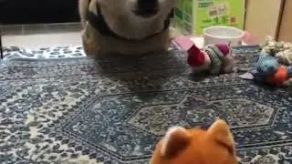 Stop mocking me