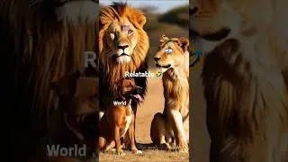 it is too much relatable- 🤣🤣#viral#trending#shorts#youtubeshorts#israel#usa#india#funny#reels#memes