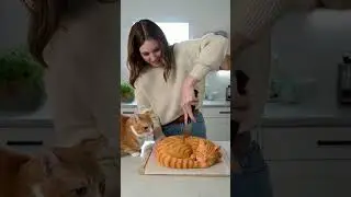 The owner cut the cat cake in front of the cat.#catsoftiktok #funnycat #fyp #foryou