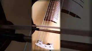 Arpeggione loop session 29102024 7stringWingholes