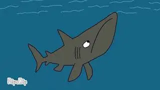 basking shark, the bloop