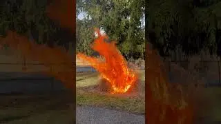 Ornamental grass fire Feb 2023.