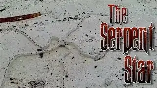 The Serpent Star