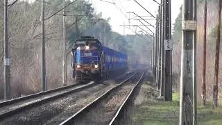 Silva LS :)