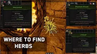 Where to Find Herbs in Dark and Darker