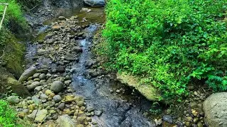 Mountain Stream Flowing Sound | Relaxing Water & White Noise for Sleep