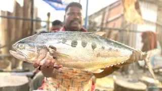 Kasimedu Selvam Dot Trevally fish Cutting video| UK SONS MARINE