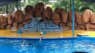 Nanning zoo in Guangxi #2015