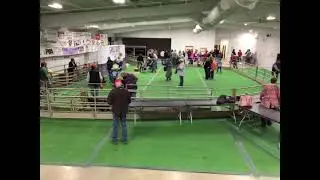 Gaines County Livestock Show Swine Show 2021