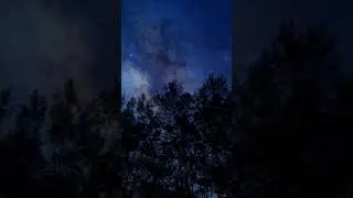 Experience the magic of the night. 🌙🦉 #Night #naturesounds #serenity #relax #soothing #nightcore
