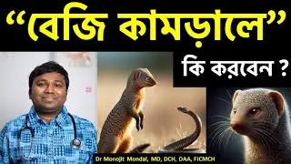 বেজি কামড়ালে কি করবেন চিকিৎসক ডা: মনোজিৎ মন্ডল Mongoose bite what to do in bangla
