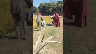 so funny men
