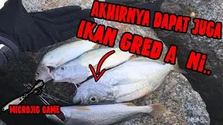 Hasil Paling Memuaskan dari Microjig [Gasak Gelama+Ikan lemoh]
