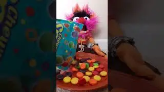 ⭐🍭🍩 SUPER COLORFUL  CHEWEY  SPREE CANDY w/ sounds #asmr #shorts #trending #satisfying