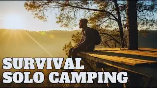 Building Shelter Alone in Pine Forest Solo Camping