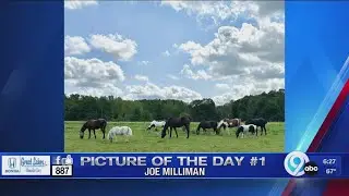 Picture of the Day: September 13, 2023