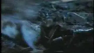 Tarantula vs Snake- Great Fight!