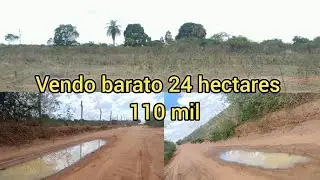 Vendo barato grande oportunidade  24 hectares 8799102 3154 