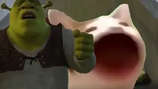 Poggers Cat annoys Shrek
