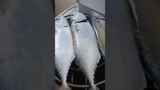 GRILLING FISH ON THE STOVE 🐟 #grill #fish #shorts
