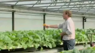 Jobs in Vegetables for the Future Trailer.mov