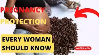 Spiritual protection for pregnant women: The power of alligator pepper