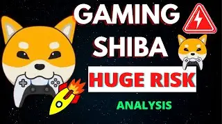 Gaming Shiba || Risk Analysis