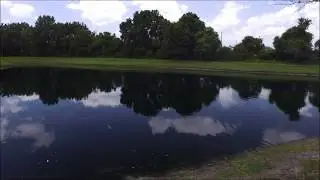 Drone Footage over Ponds | Testing Circular Polarizing Lens
