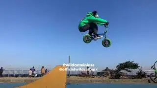 Freestyle Mini BMX: Rhyme dominates the Wildcat Mini BMX