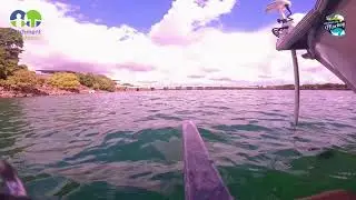 Pioneer River Fish Habitat Monitoring