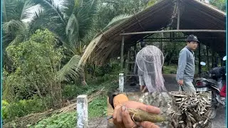 Trở lại con rạch Huyền thoại trúng mánh đủ loại cá Tôm 