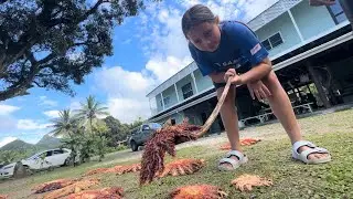 Mama Ra&rsquo;s Taramea Talk