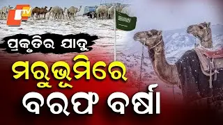 Snowfall in Saudi Arabia Shocks the World | Rare Weather Phenomenon Explained