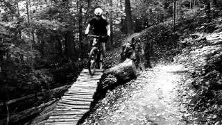 Don Valley Singletrack