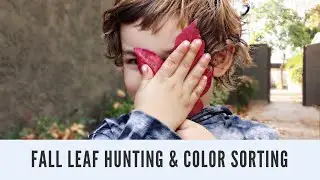 Collecting fall leaves | sensory play | counting and learning colors | activities for kids
