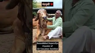 हमारी प्यारी चँद्रमुखी