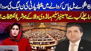 6 Bills In Assembly| People's Party Support PMLN |Saleem Mandviwala's Big Revelations |Meher Bokhari