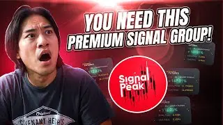 Forex Signals Telegram : Is SignalPeak the Most Accurate in 2025?