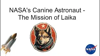 Beyond Earth: Laika's Incredible Space Adventure #CosmicJourney #nasa #Laika The First Dog in Space