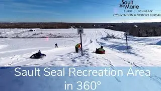 Sault Seal Recreation VR 360 Video